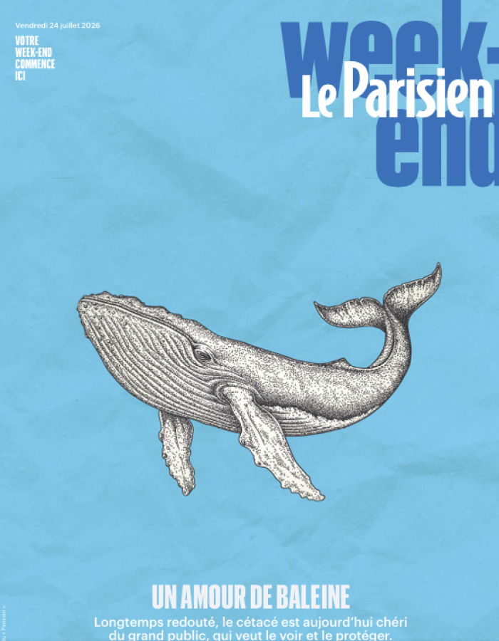 La Bouteille de l'été