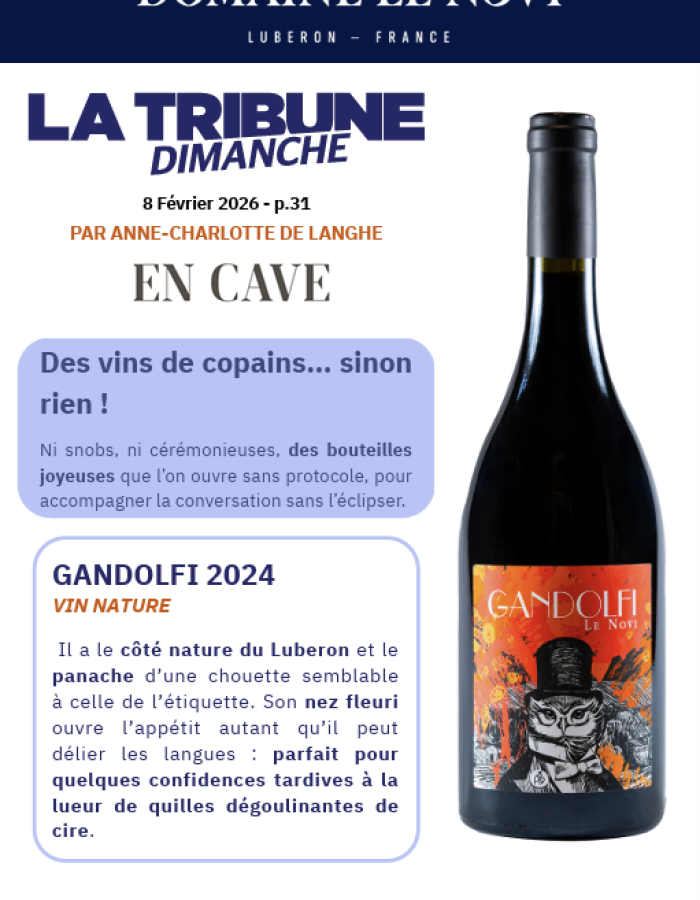 Des vins de copains...Sinon rien !